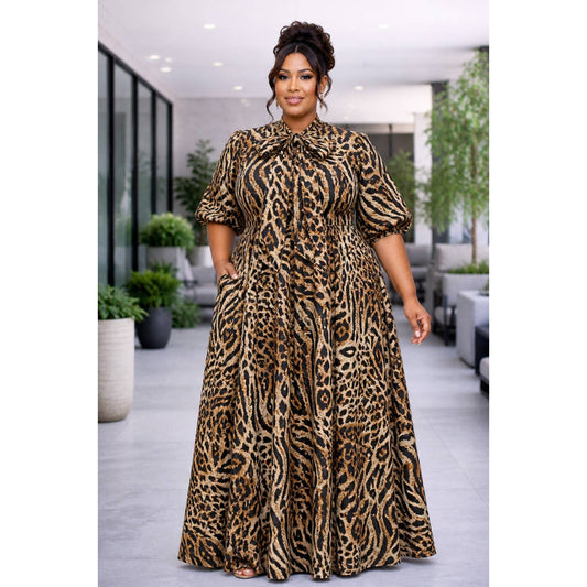 Animal - Leopard 🐆